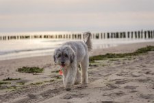 Zeeland-album-blog (3 van 3).jpg