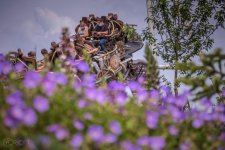 TRTH-FPM-album-blog (2 van 4).jpg