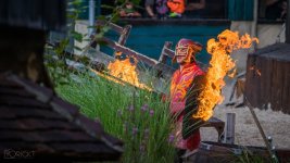 test (1 van 1)-2.jpg