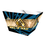 Evolution - Wall of Gold.png