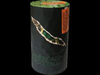 American Crocodile.jpg