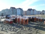 DSC00501.JPG