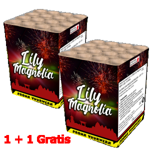 19001-lily-magnolia-2e-gratis-800x800.png