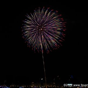 Fireworks for Japantag in Düsseldorf 2022