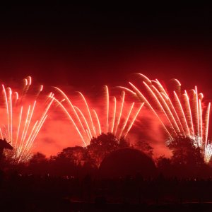 Toverland Halloween Nights 2024