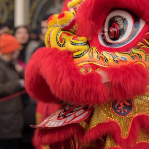 Chinees nieuwjaar 2025 - Den Haag - Pyrofoor.