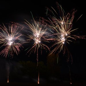 DSC_1578.JPG