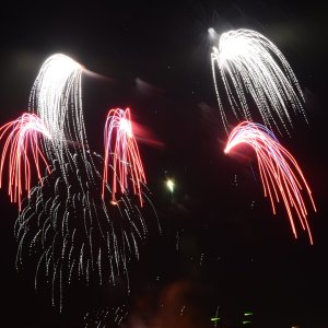 DSC_1819.JPG
