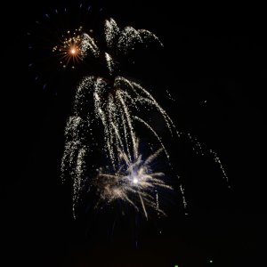 DSC_1851.JPG