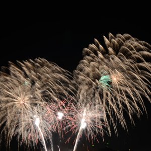 DSC_1923.JPG