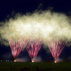 Tholen Koningsdag 2025