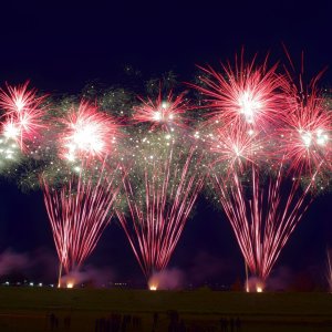 Tholen Koningsdag 2025