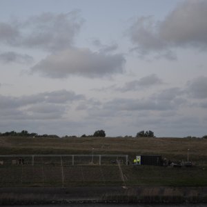 DSC_1977.JPG