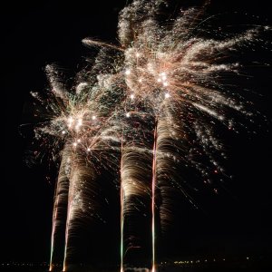 DSC_2198.JPG
