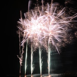 DSC_2342.JPG