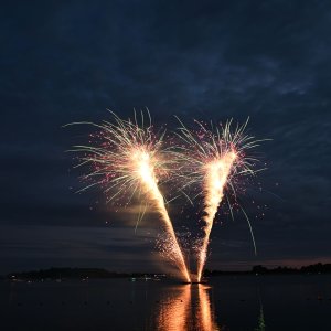 DSC_0231.jpg
