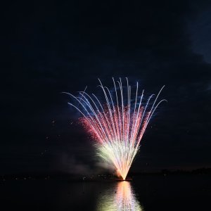 DSC_0254.jpg