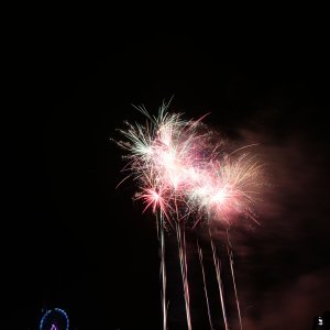 DSC_0326.jpg