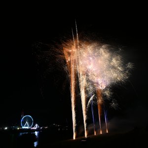 DSC_0336.jpg