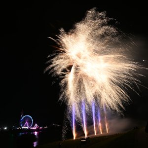 DSC_0366.jpg