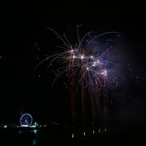 DSC_0371.jpg