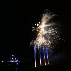 DSC_0385.jpg