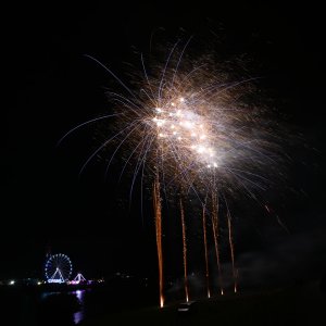 DSC_0391.jpg