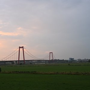 DSC_0546.jpg