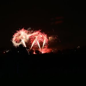 DSC_0640.jpg