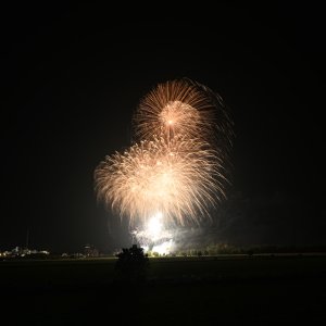 DSC_0674.jpg