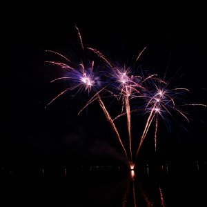 DSC_0767.jpg