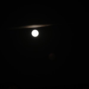 DSC_0856.jpg