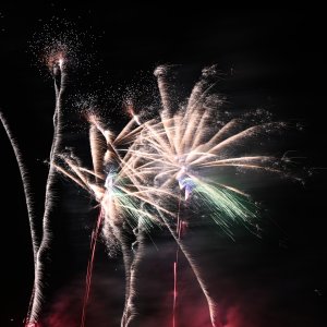 DSC_1065.jpg