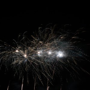 DSC_1090.jpg