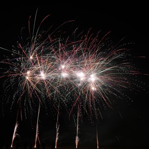 DSC_1139.jpg
