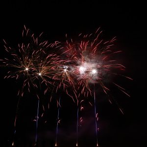 DSC_1163.jpg