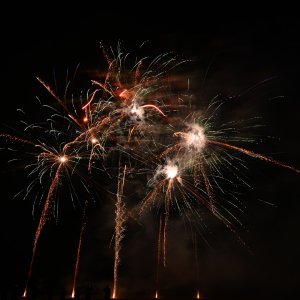 DSC_1185.jpg