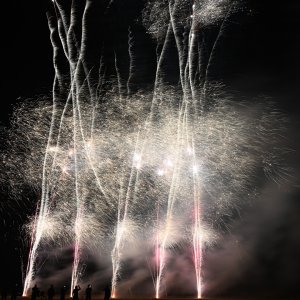 DSC_1203.jpg