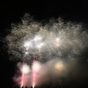 DSC_1217.jpg