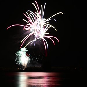 DSC_1311.jpg