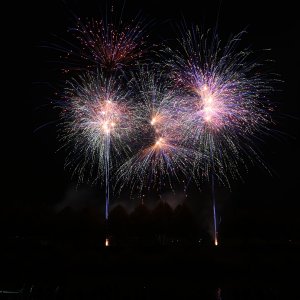DSC_1901.jpg