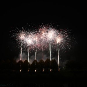 DSC_1987.jpg