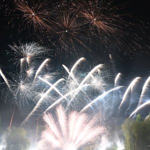 DSC_3436.JPG