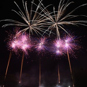 DSC_3442.JPG