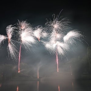 DSC_3517.JPG