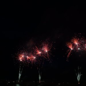 DSC_4005.JPG