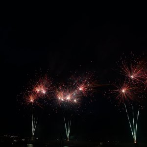 DSC_4010.JPG