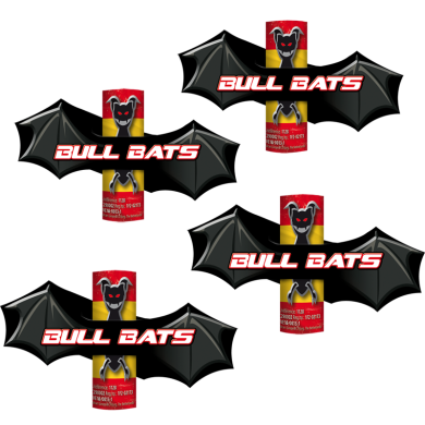 01112018113305bullbats_390_390.png