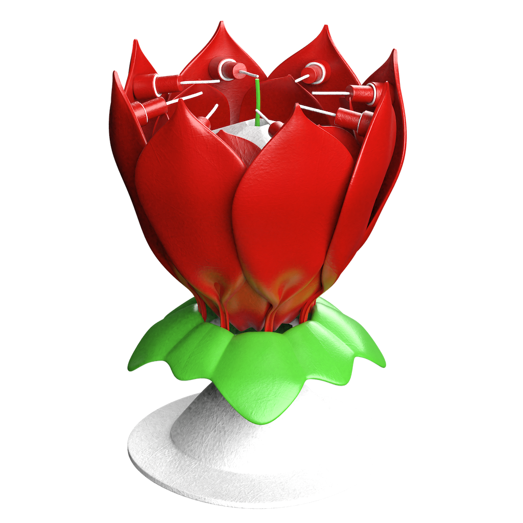 02577 Lotus feestfontein.png