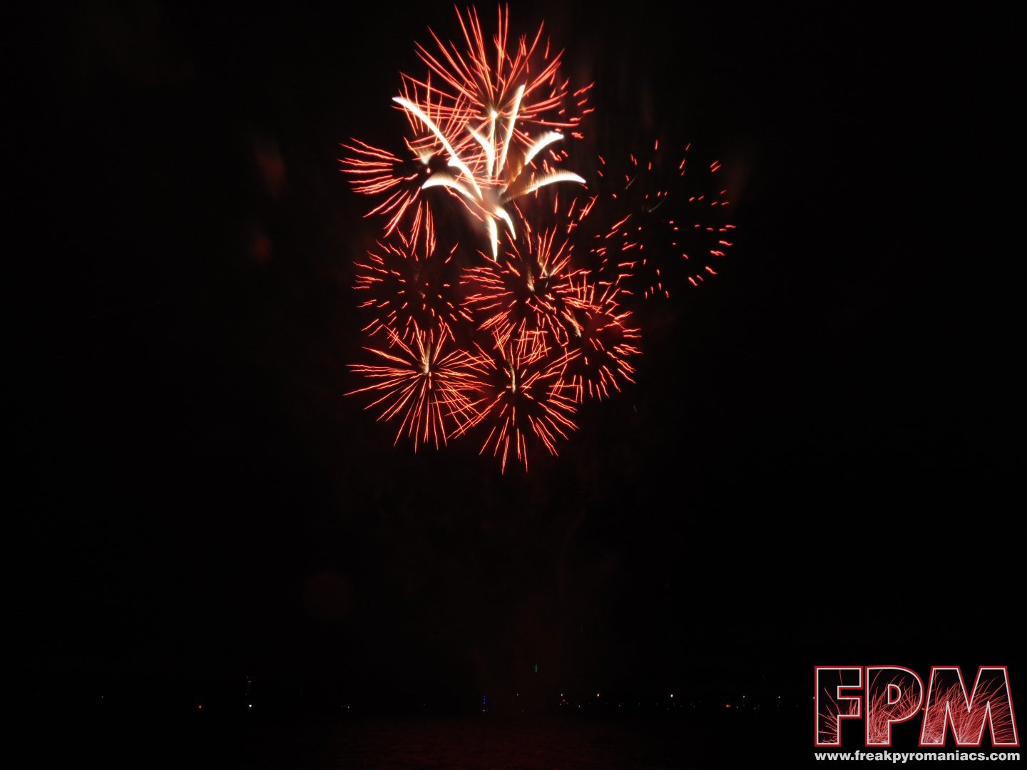 Almere Diwali 19-10-2024